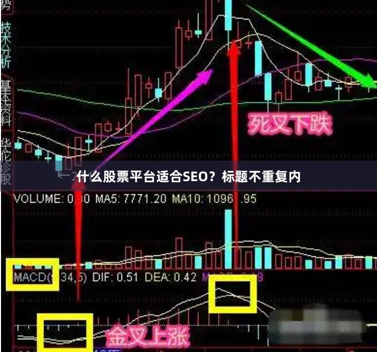 什么股票平台适合SEO？标题不重复内